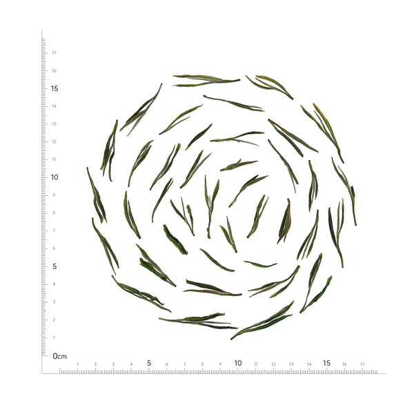 Anji Bai Cha / Customisable