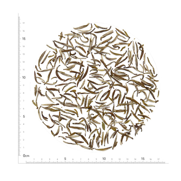 Junshan Yinzhen (Silver Needle)