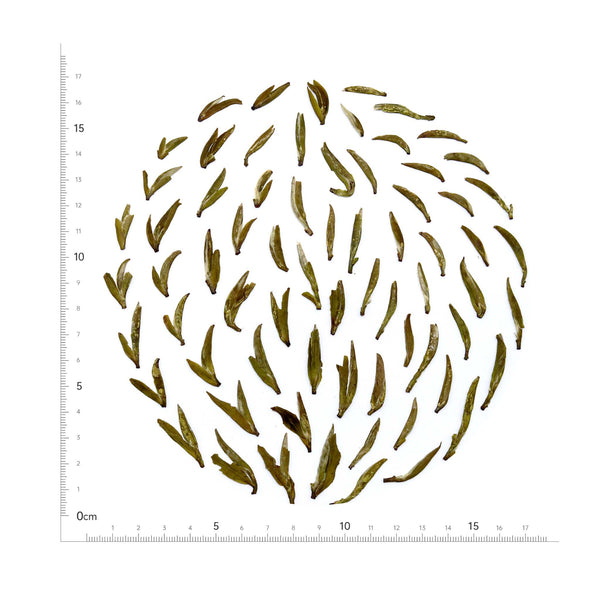 Mengding Huangya (Yellow Bud)