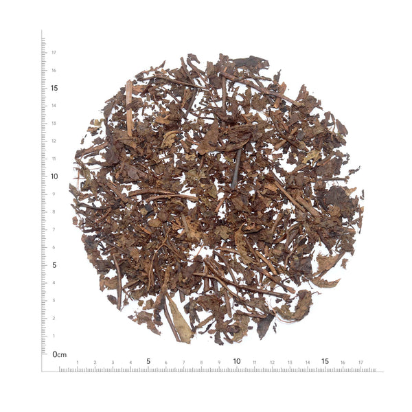 Yigong Tibetan Dark Tea