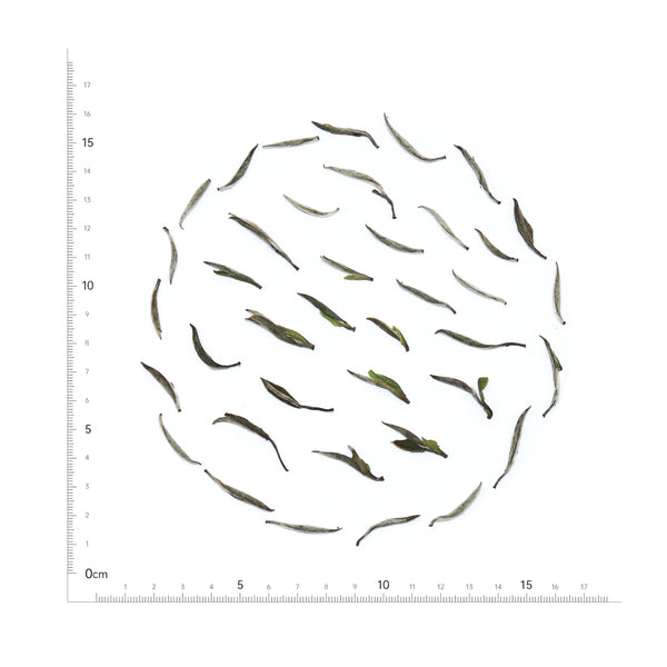 Fuding Silver Needle / Customisable