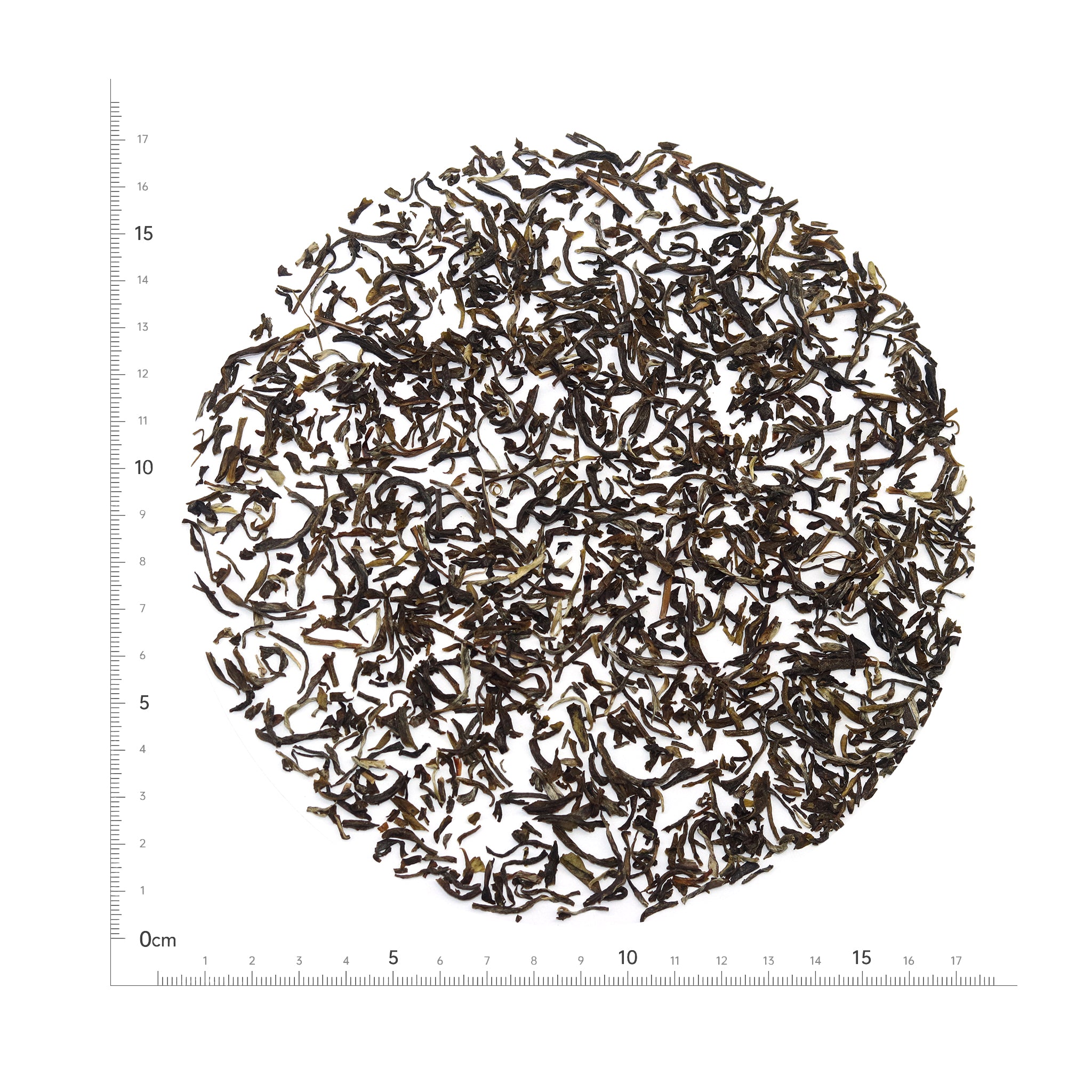 Refined Processing Green Tea Premium / customisable – TEASCOM